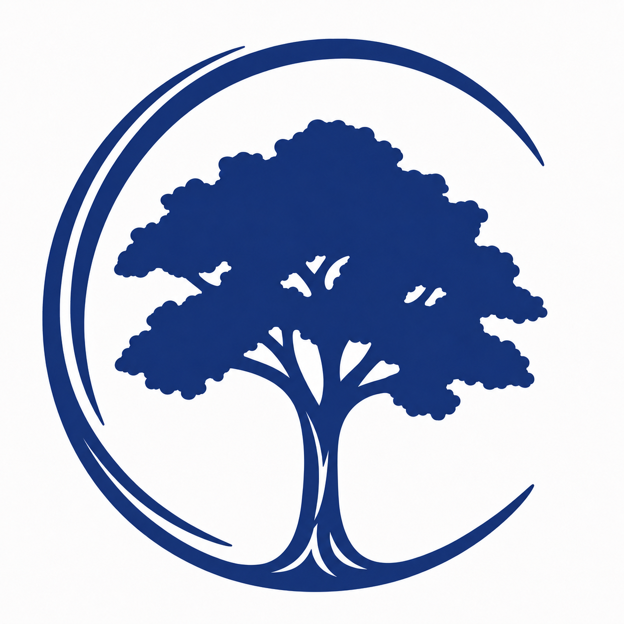 Caban Financial